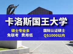 西班牙胡安卡洛斯国王大学 CEDEU学院 法学